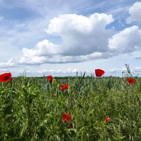 בית נופש Getaway Near The Baltic *