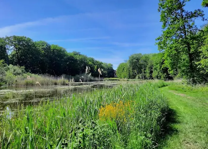펜션 Getaway Near The Baltic Groß Schwansee